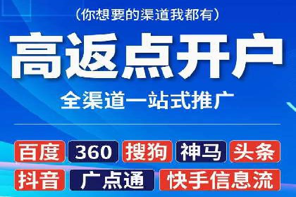 SEM广告投放案例：提升网站流量与转化